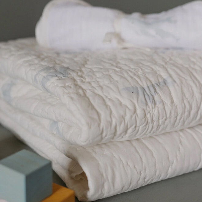 Blanket Follow Me Whale
