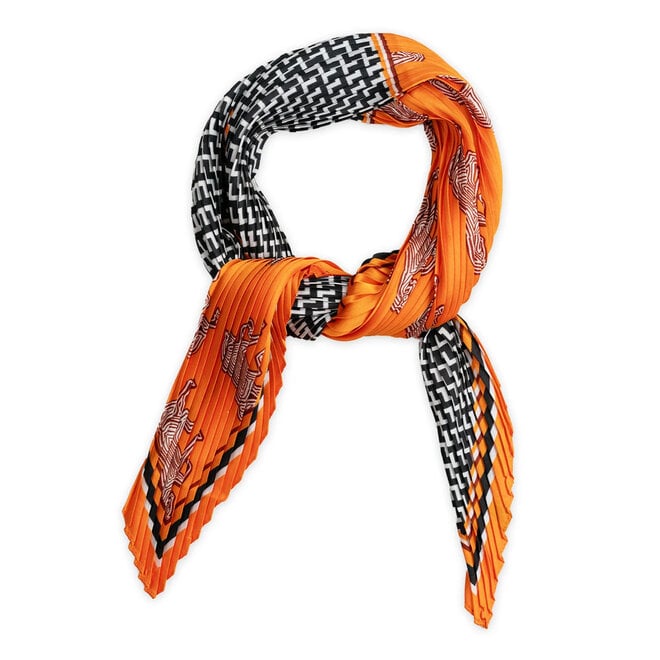 Scarf Zoey Plissé Petit