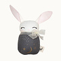 Mini Bunny Moon & Stars