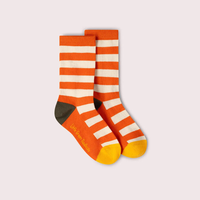 Ankle Socks Mushrooms Set of 5