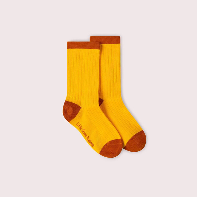 Ankle Socks Mushrooms Set of 5