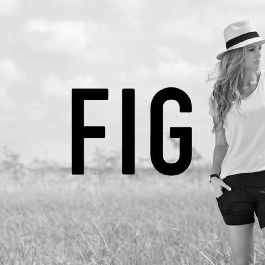 FIG
