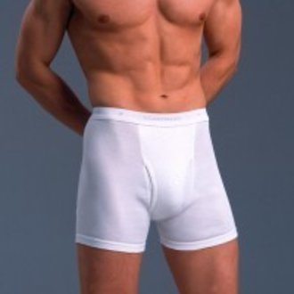STANFIELDS 2 PACK PREMIUM BOXER BRIEFS STANFIELDS 2 PACK PREMIUM BOXER BRIEFS