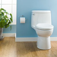 American Standard - Champion 4 - Right Height - One Piece Toilet