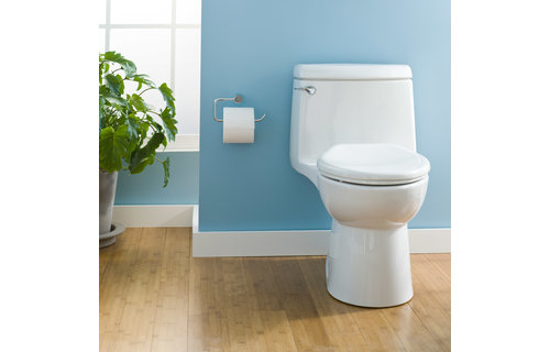 American Standard - Champion 4 - Regular Height - One Piece Toilet