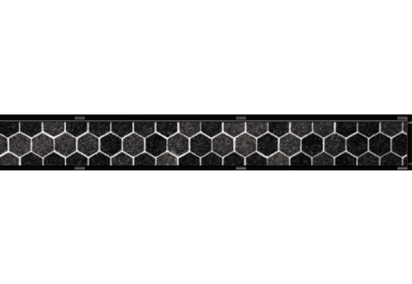 ACO - C Line - Tile-in Linear Drain