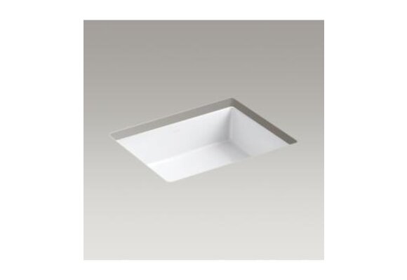 Kohler K-2882 VERTICYL Sink