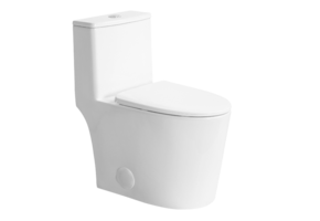 Aktuell - Cyklon - One Piece Toilet - AKK0301DF