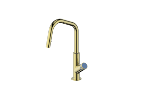 Vogt - Mond - Angle - Main