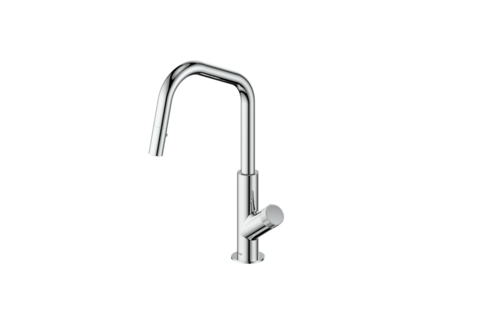 Vogt - Mond - Angle - Main