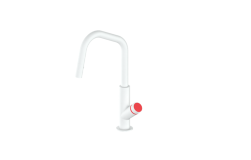 Vogt - Mond - Angle - Main