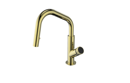 Vogt - Mond - Angle - Prep