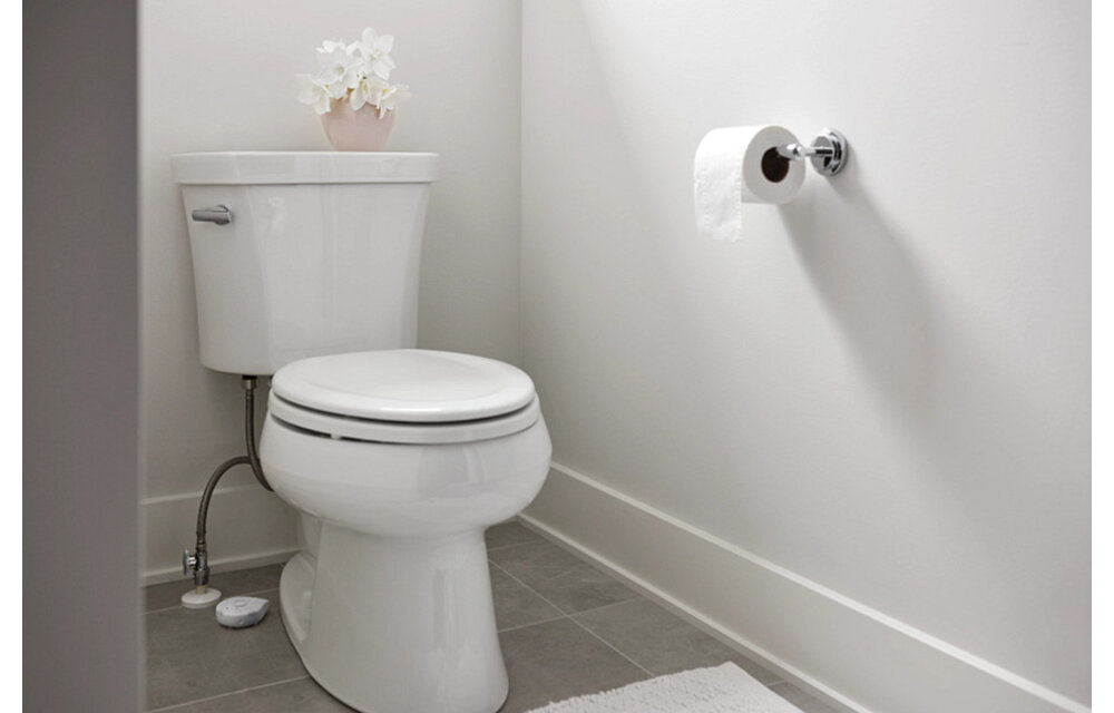 Moen - Smart Leak Detector -