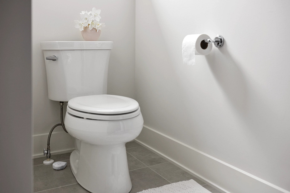 Moen - Smart Leak Detector -