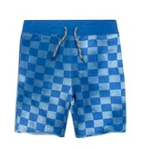 Appaman Blue Check Shorts