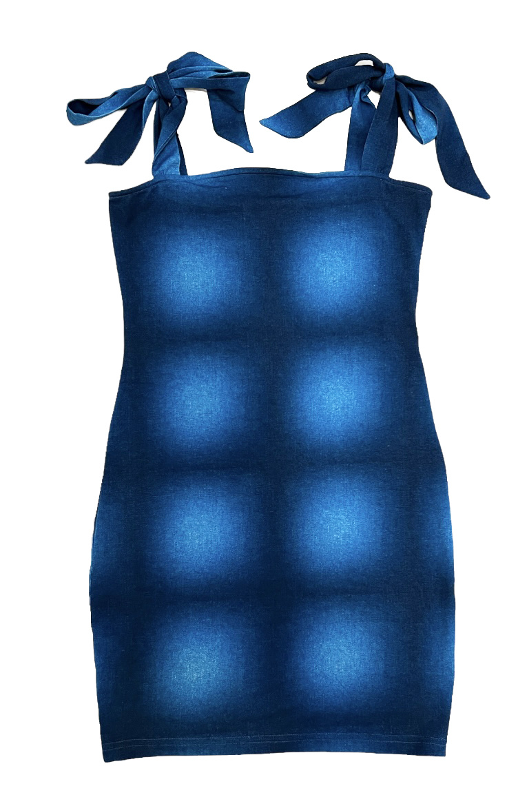 Theme Vintage Blue Dress