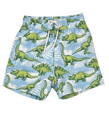 Mish Dino Palm Swimsuit