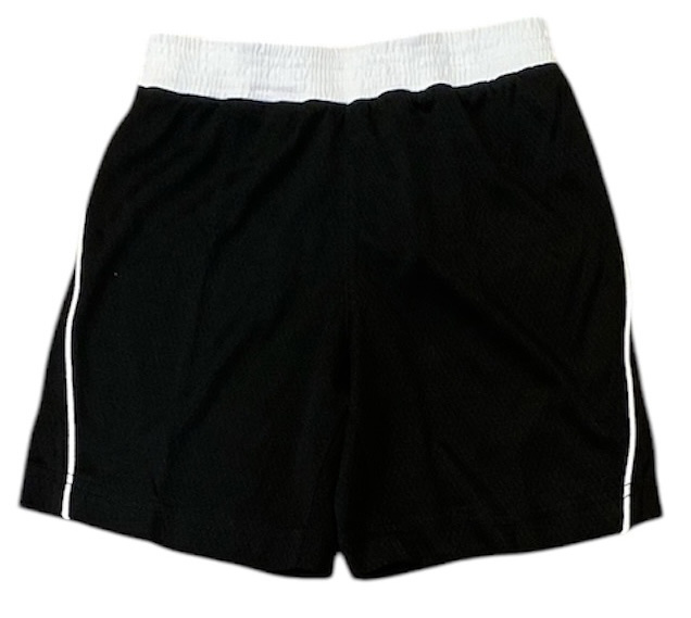 Nike Dri Fit Mini Mesh Toddler Shorts