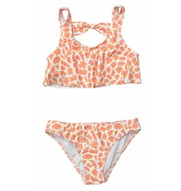 Coral & Reef Sherbert Cheetah Ruffle 2 pc
