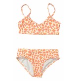 Coral & Reef Sherbert Cheetah Bikini