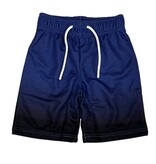 Mish Cobalt Gradient Mesh Shorts