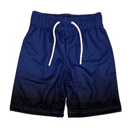 Mish Cobalt Gradient Mesh Shorts