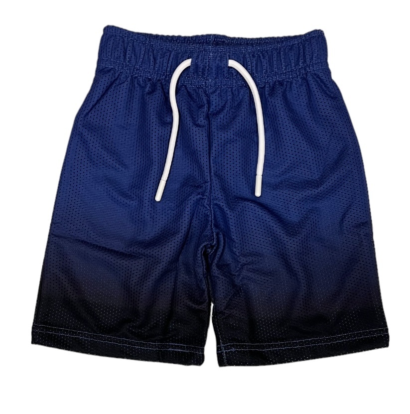 Mish Cobalt Gradient Mesh Shorts