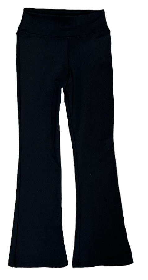 Dori Black Matte Stretch High Waisted Flare Legging