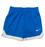 Nike Photo Blue DriFit Logo Shorts