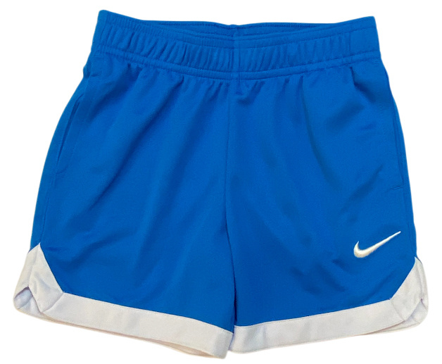 Nike Photo Blue DriFit Logo Shorts