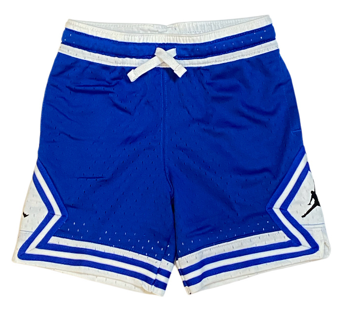 Nike Air Jordan Cobalt Mesh Jumpman Shorts