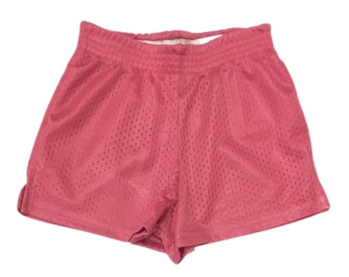 Dori Pink Mesh Shorts