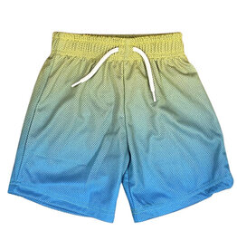 Mish Turq Gradient Mesh Shorts
