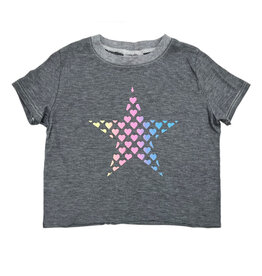 Firehouse Grey Rainbow Star SS Tee