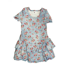 Social Butterfly Denim Roses Dress