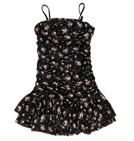 FBZ Rose Bunches Mesh Dress