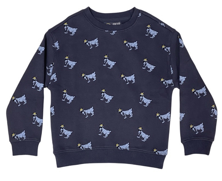GOAT Blue Fleece Printed Sweatshirt Boys