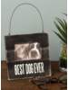 Mini Dog Frame