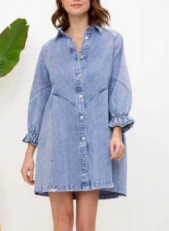 Risen Denim Button Up Dress
