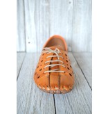 Volks Walkers Volks Walkers 1210