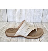 Taos Taos Gift 2