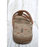 Taos Taos Prize 3