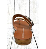 Los Cabos Los Cabos Bria