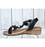 Lady Comfort Lady Comfort Venice