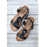 Lady Comfort Lady Comfort Venice