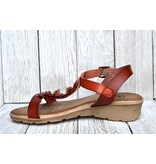 Lady Comfort Lady Comfort Venice