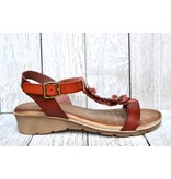 Lady Comfort Lady Comfort Venice