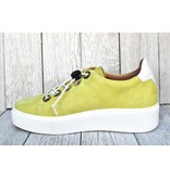 MJUS MJUS M08102