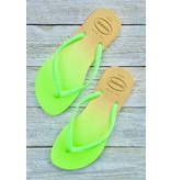 Havaianas Havaianas Slim Gradient