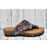 Wanda Panda Wanda Panda Tenma 3